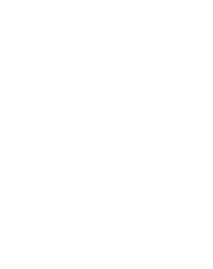 document icon